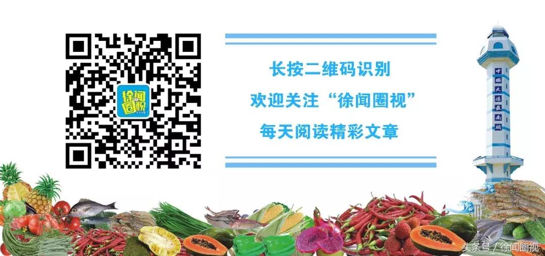 徐闻县下洋镇乡村振兴工程,湛江徐闻下洋镇新农村建设