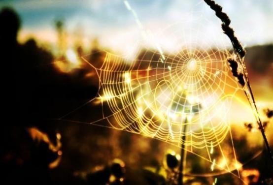 富人如何利用人性的弱点赚钱,如何利用人性的弱点赚钱