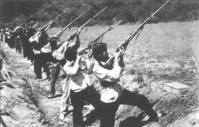 用步枪打下飞机纪实片,现实中用步枪打下来的飞机