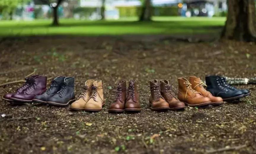 红翼在国内为什么火,红翼为什么这么硬