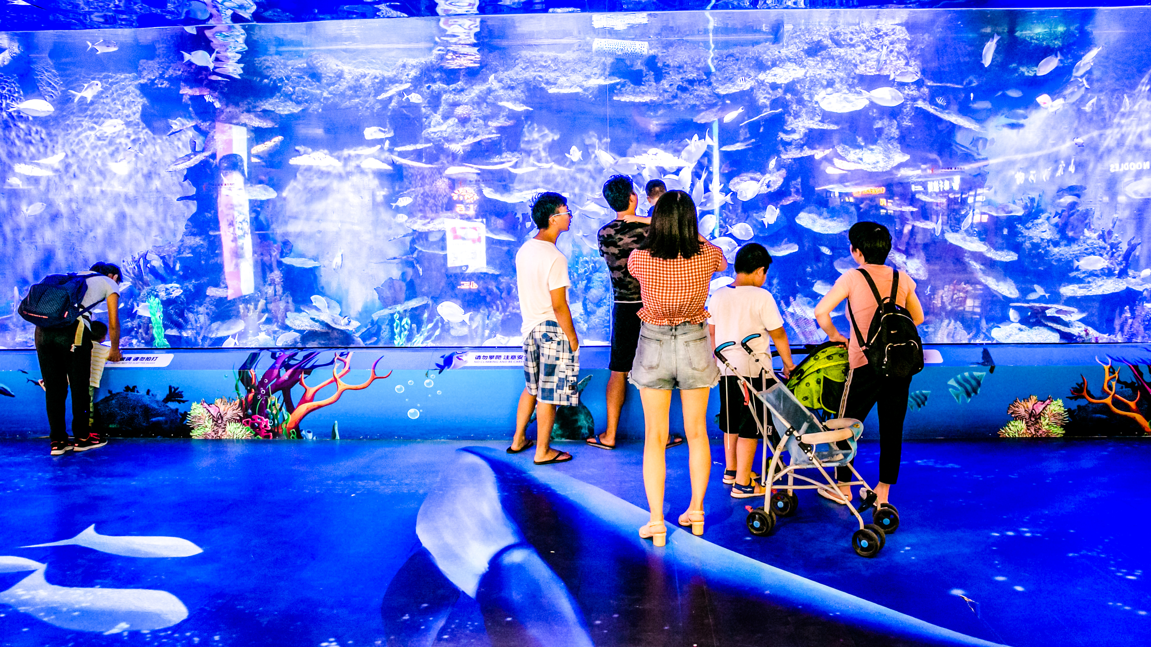 鏉ュ埌骞垮窞鐧戒簯姹囧箍鍦轰笌瑙備紬瑙侀潰,鐧戒簯姹囧箍鍦哄槈骞村崕