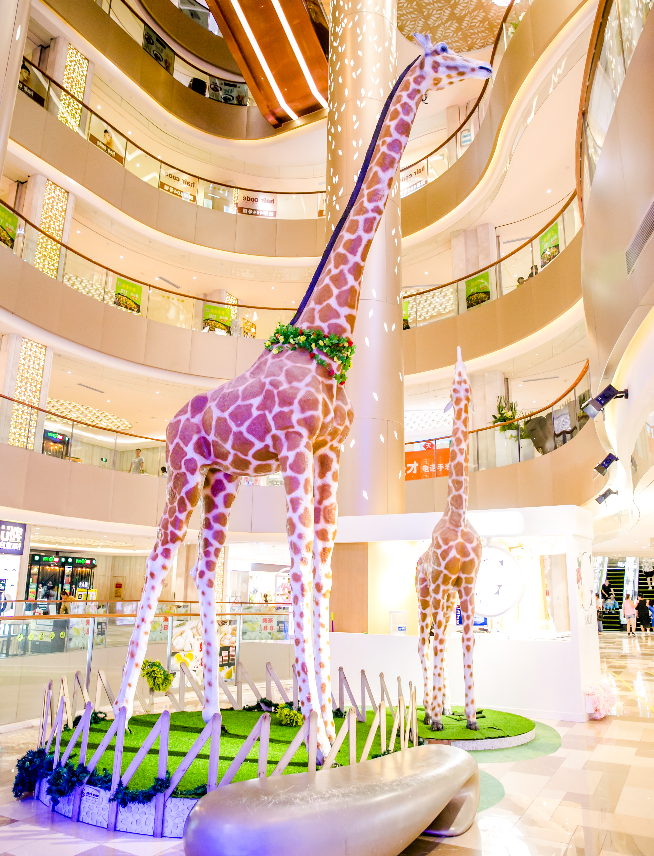 鏉ュ埌骞垮窞鐧戒簯姹囧箍鍦轰笌瑙備紬瑙侀潰,鐧戒簯姹囧箍鍦哄槈骞村崕