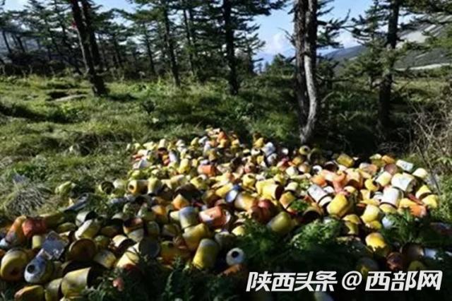 驴友非法穿越鳌太线官方顶格处罚,5名驴友私自穿越鳌太1人丧命