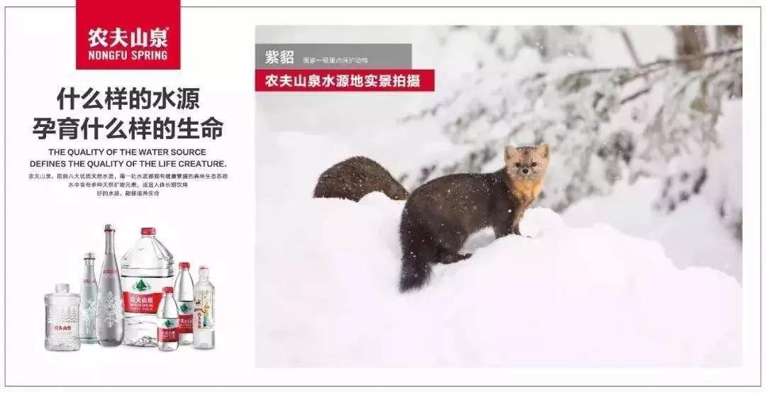 什么是品牌管理,品牌管理从哪里来