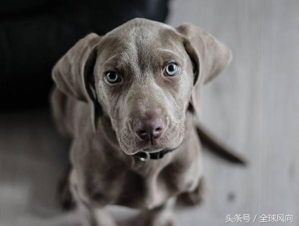 有哪些赚钱的点子,业余时间赚钱的点子