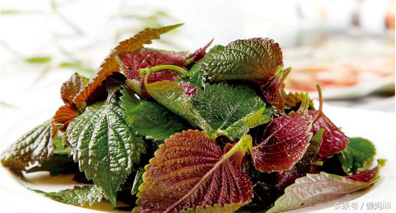 天冷就流清鼻涕的原因,孩子着凉流清鼻涕妙方