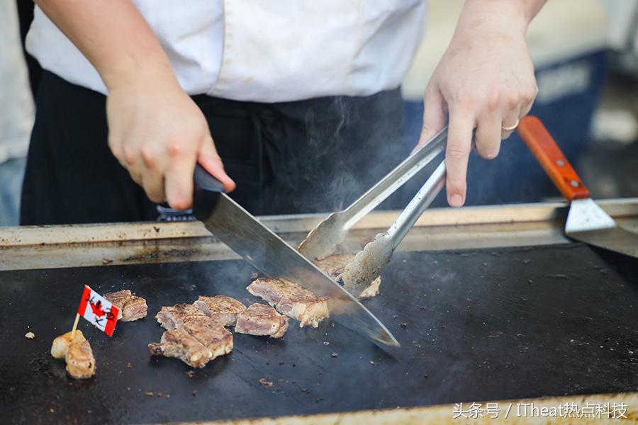 专业微单顶级画质,专业微单相机入门级推荐