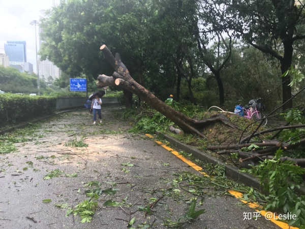 年后想去外省打工,最近能去深圳工作吗