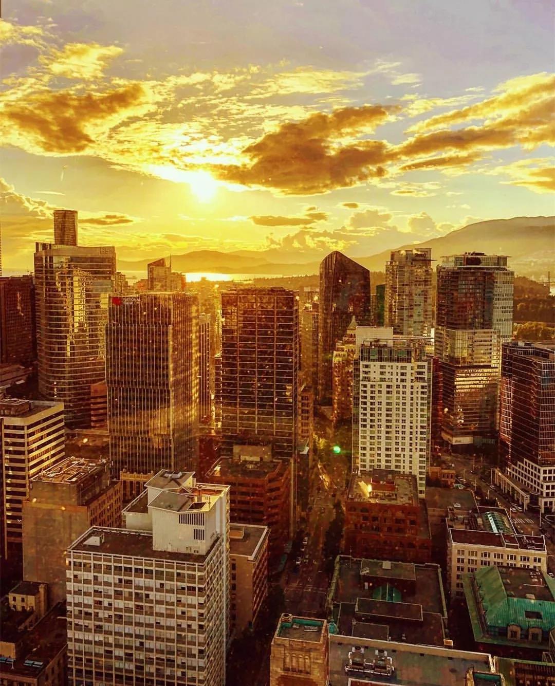 triporg旅行版,深扒中国锦鲤的免费旅行清单