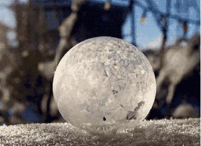 看干皮在秋冬笑着活下去!