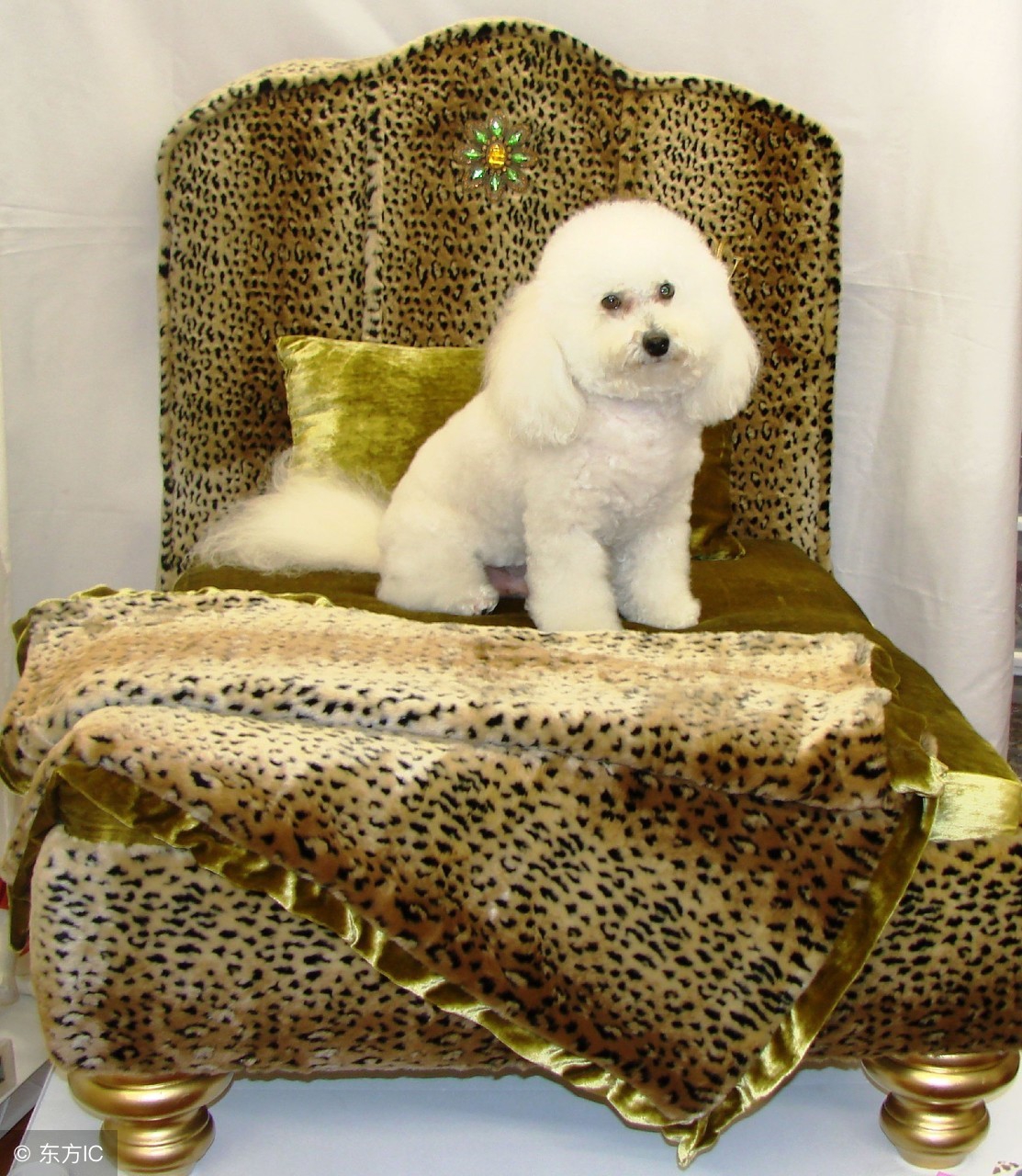 “I’mbeat.”并不是“我被打了”！