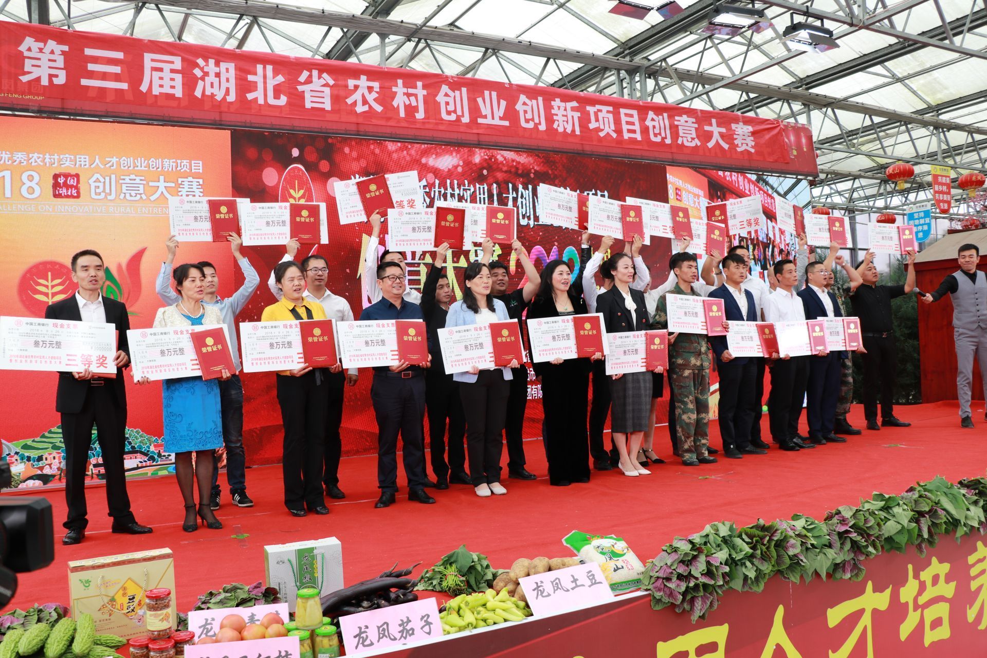 湖北省大学生创新创业项目,咸宁市农村实用人才创新项目