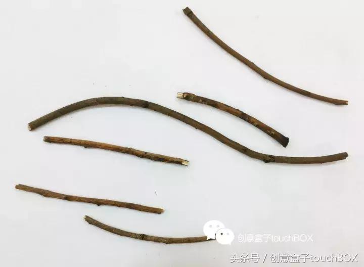 松果装饰造型图片,秋天的装饰品有哪些