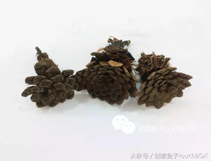 松果装饰造型图片,秋天的装饰品有哪些