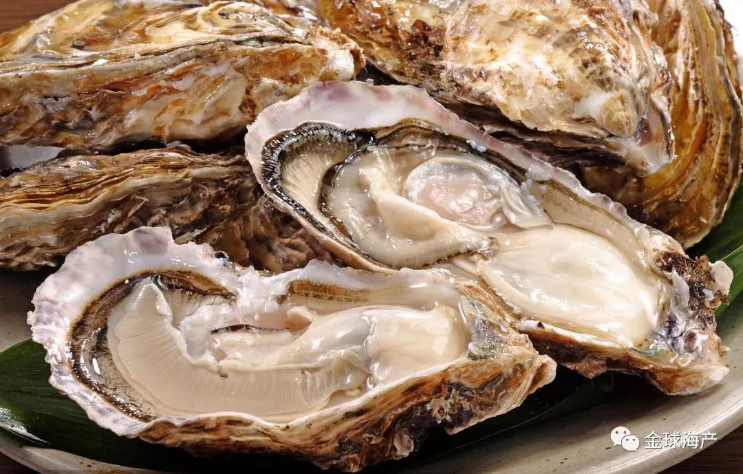 扔掉化妆品！每天5分钟能成仙！重点：不花钱