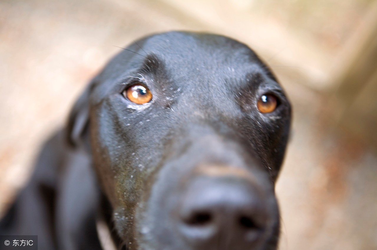 宝妈最新副业在家就能做的兼职,适合宝妈的全职兼职推荐