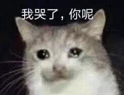 高颜值内衣推荐,高颜值内衣薄款夏季