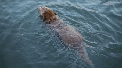 他在桂林复刻出《色戒》同款院子,还引来了《芳华》作者严歌苓