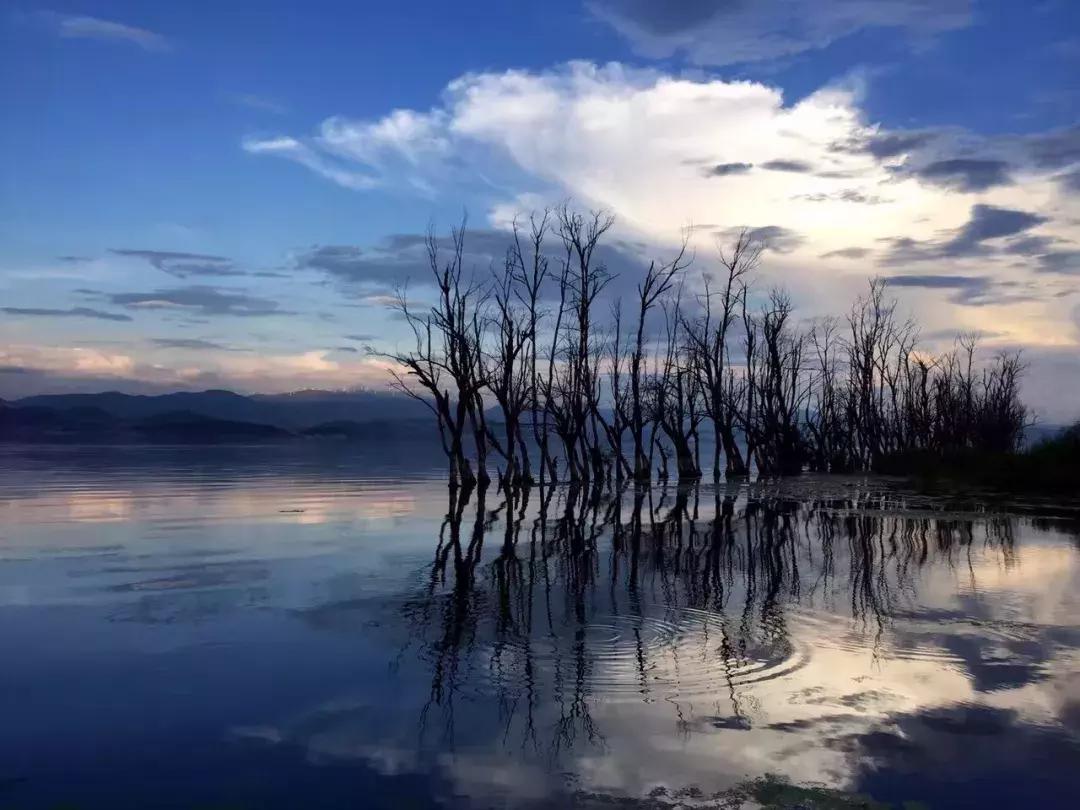 大理民宿经营的问题 (大理民宿什么时候恢复营业)