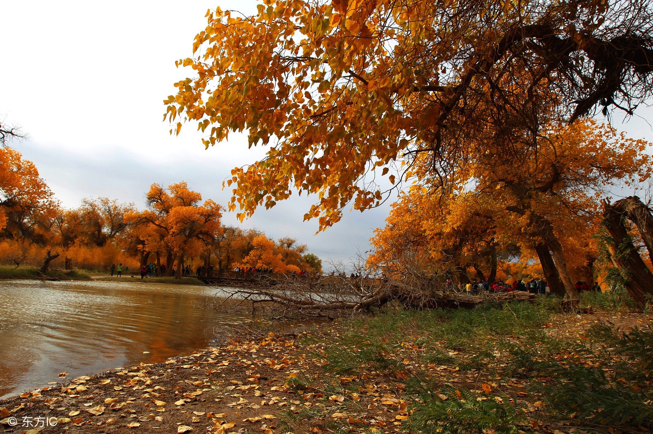 去额济纳旗住什么地方合适,国庆去额济纳人多吗