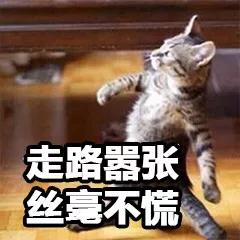 喵星人的黑下巴真的是因为脏的吗？