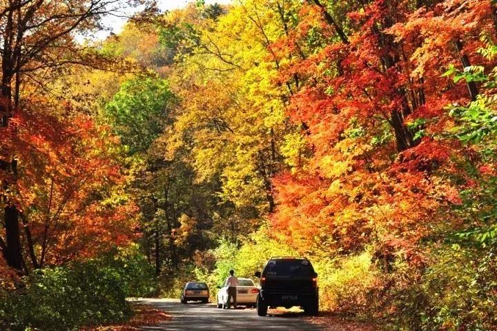 十月北方自驾游在车里睡,最适合秋天出发的4条自驾路线