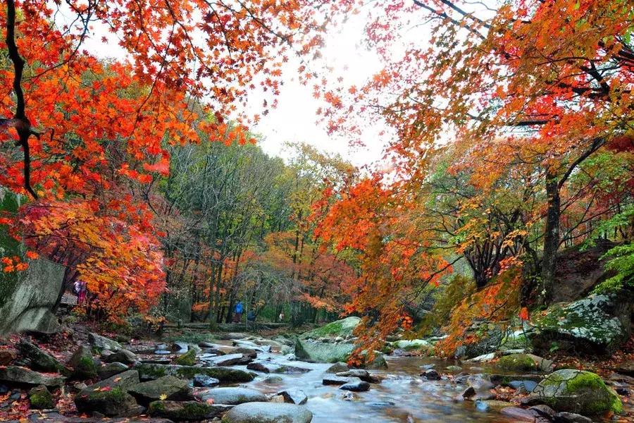 十月北方自驾游在车里睡,最适合秋天出发的4条自驾路线
