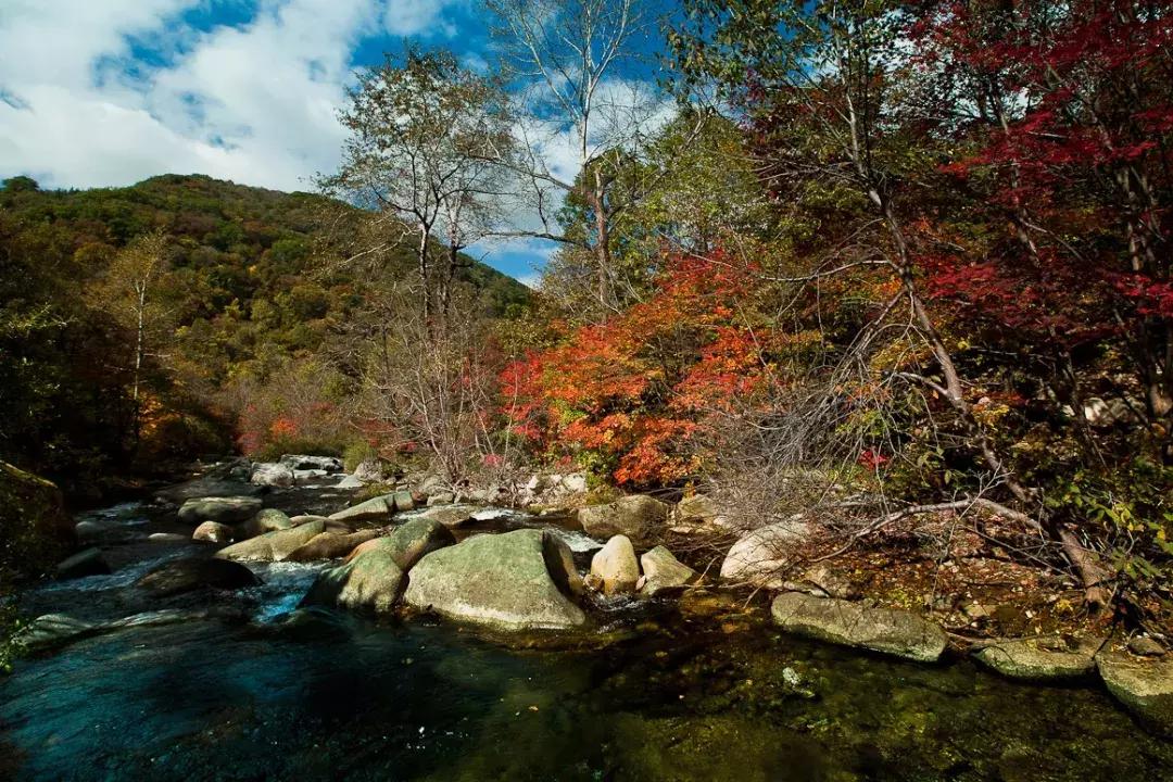 十月北方自驾游在车里睡,最适合秋天出发的4条自驾路线