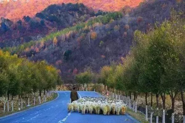 十月北方自驾游在车里睡,最适合秋天出发的4条自驾路线