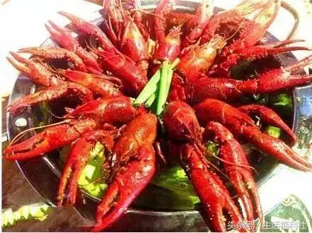 哈尔滨必吃十大特色菜,哈尔滨必吃16道菜