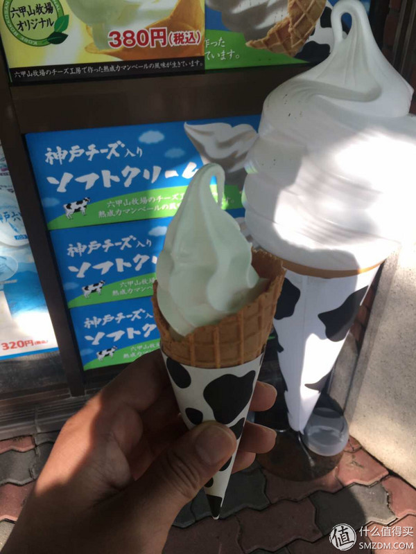 日本东京大阪神户旅游攻略,日本自由行大阪奈良京都