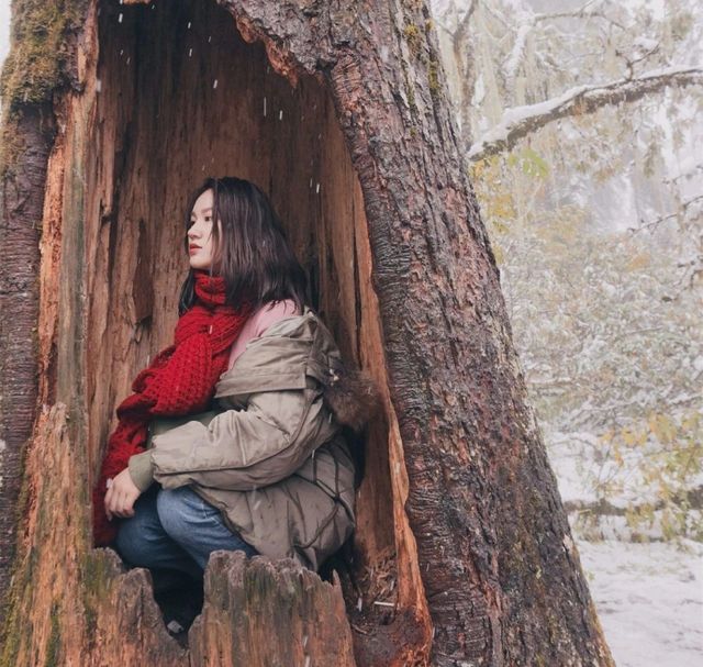 中国十大网红奇观,中国10大奇观