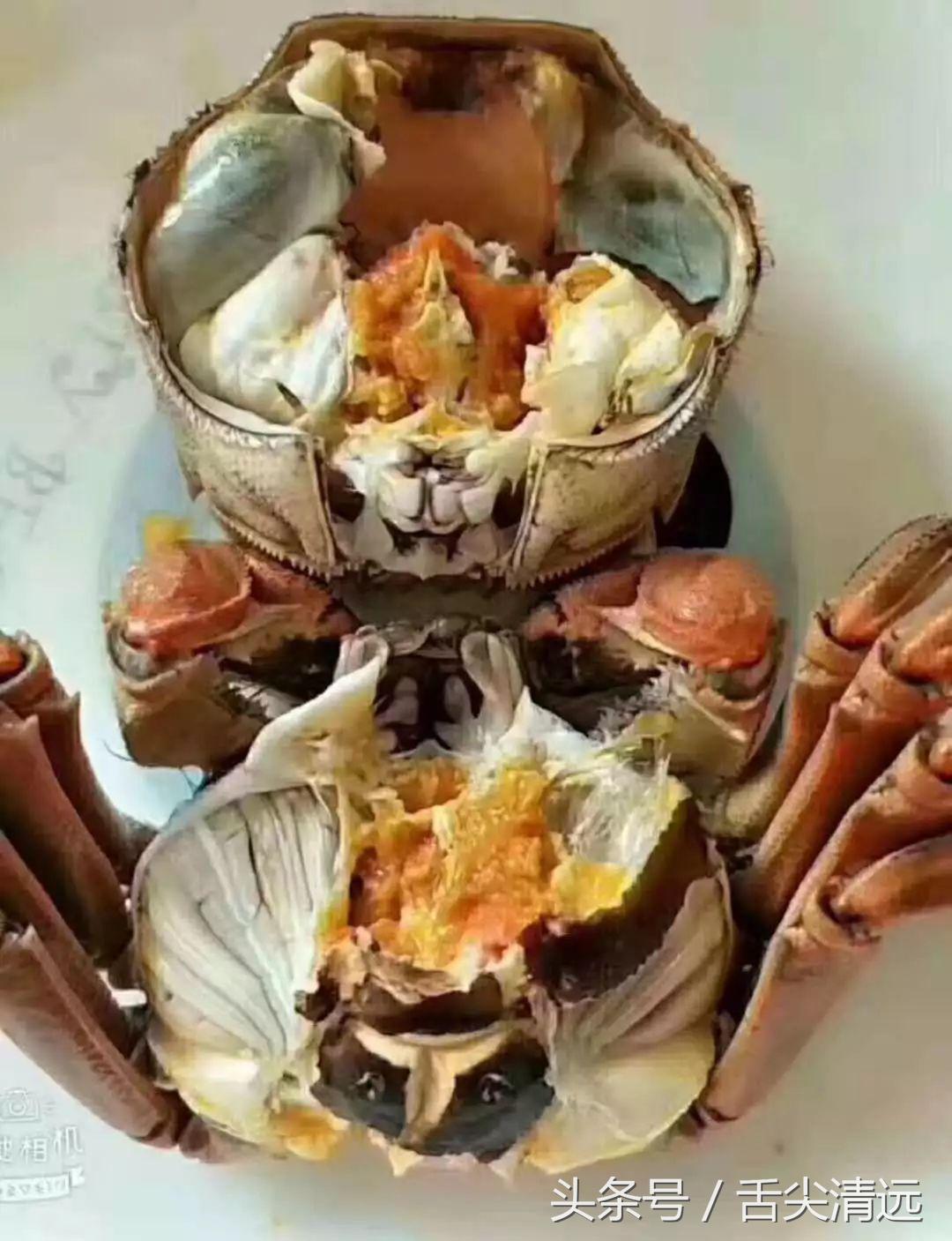 清远吃大闸蟹哪个店好,清远吃货攻略