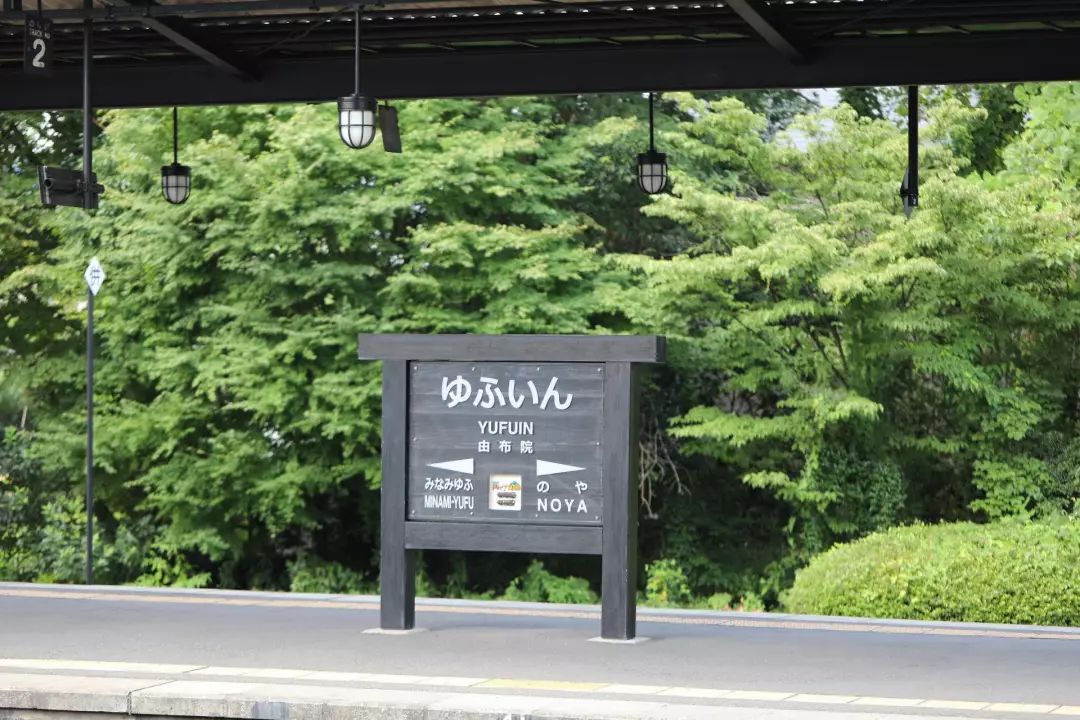 九州福冈樱花,九州樱花季旅游