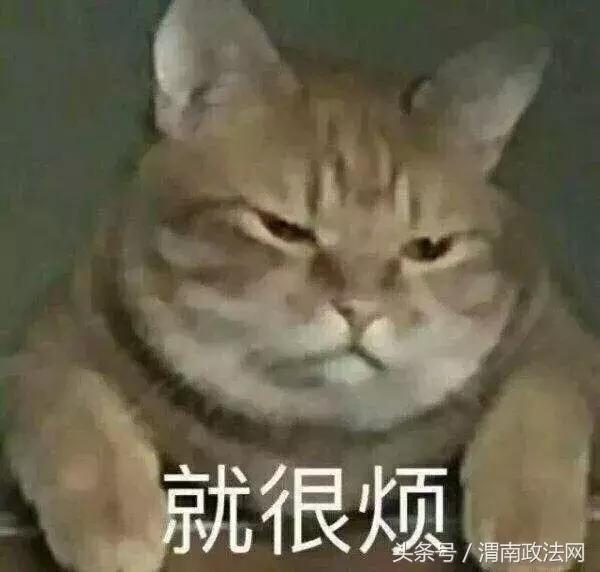 网上特别火的电话推销小姐姐,最近很火的推销电话号码