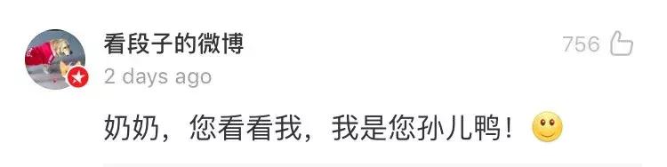 支付宝锦鲤互动营销,此次支付宝锦鲤营销的赢家有谁