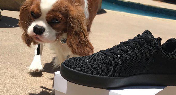 精确到1/4码互联网思维卖鞋出新花样