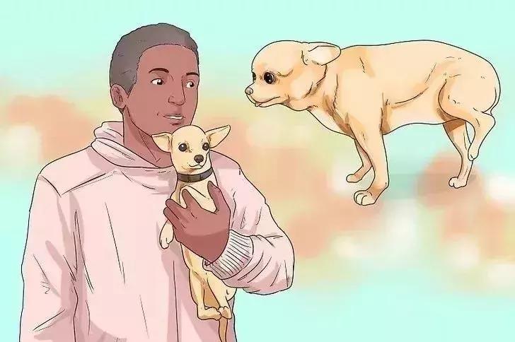 狗狗关节疼痛可以打封闭吗,狗狗歪腿坐是关节问题吗