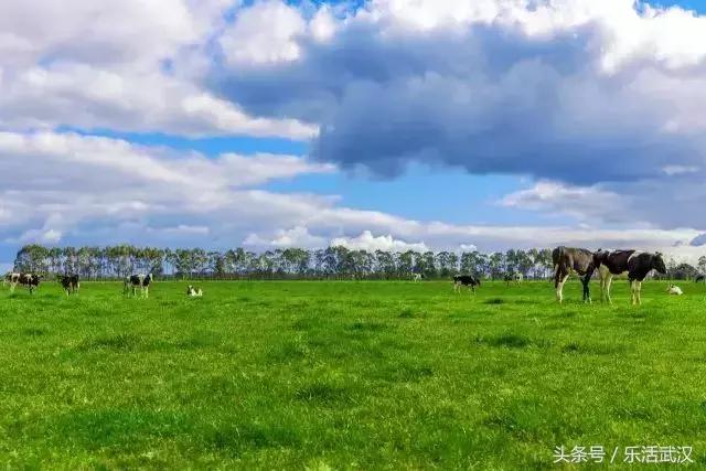 国外户籍在武汉买房,武汉一套住宅一套公寓还能买房吗