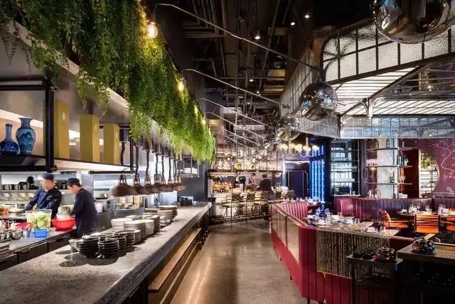 中国锦鲤旅游攻略,中国锦鲤出发环游世界