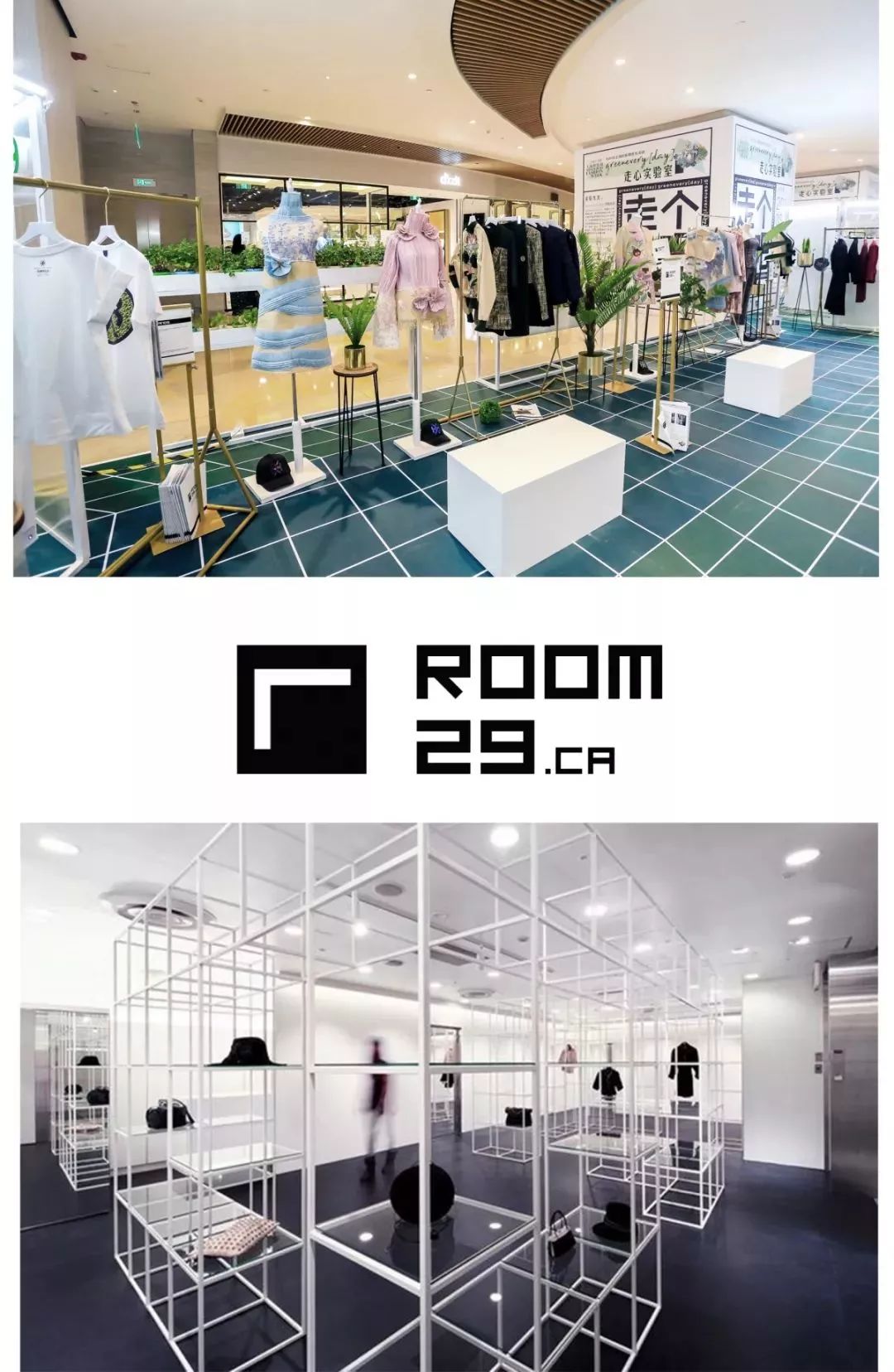 EVENT｜青”出于“蓝”的greenevery「day」