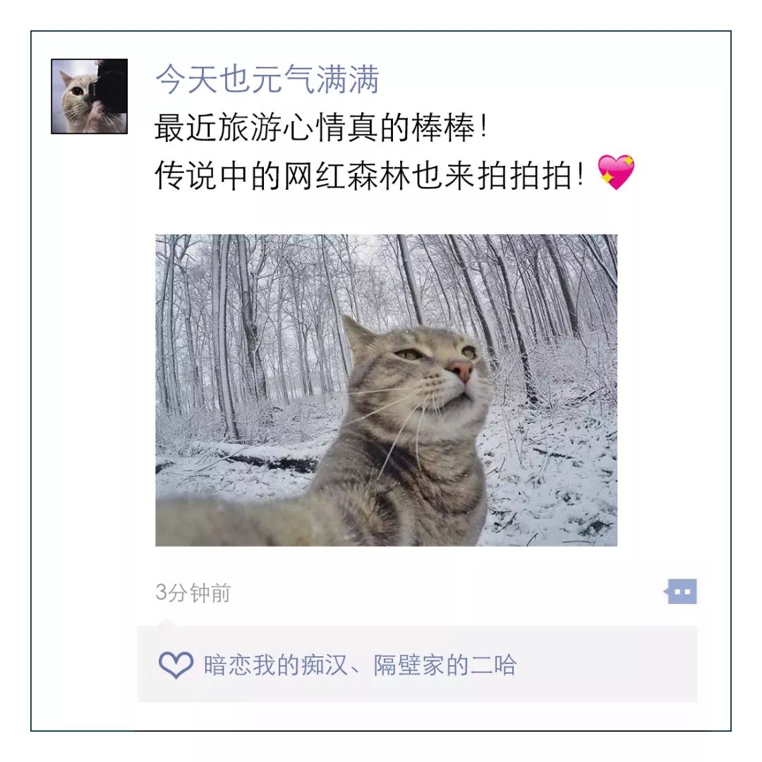 打卡狂魔or逛吃逛吃*党**?快来测测你的隐藏旅行属性!