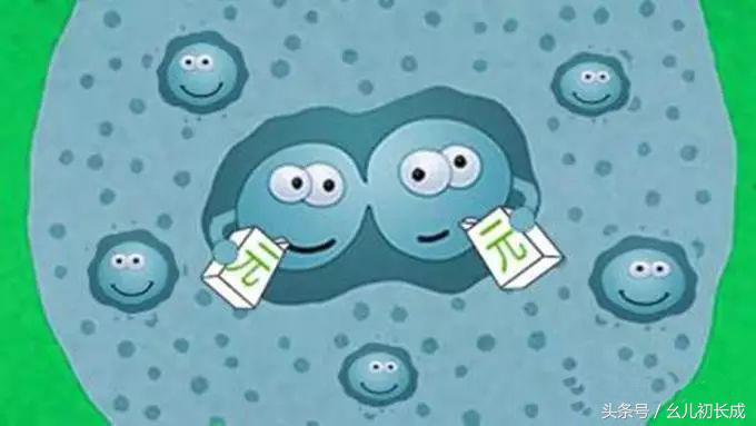 如何选购益生菌冻干粉的好坏,益生菌好坏怎么区别