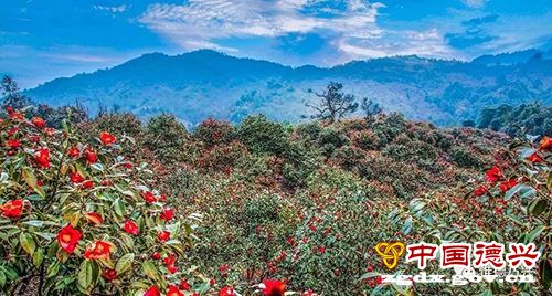 “铜都”转型,恰逢其时——专访江西省德兴市委书记刘瑞英