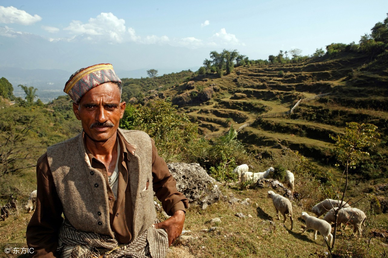 米隆老爹介绍,米隆老爹解读