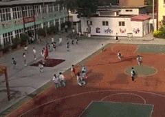 网红莉哥唱的歌曲四个字,莉哥唱凉凉