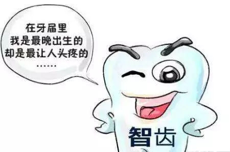 智齿作为人体最大漏洞之一，该如何对待