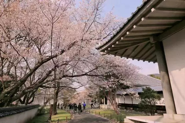 日本最大佛教寺庙,日本寺院景观