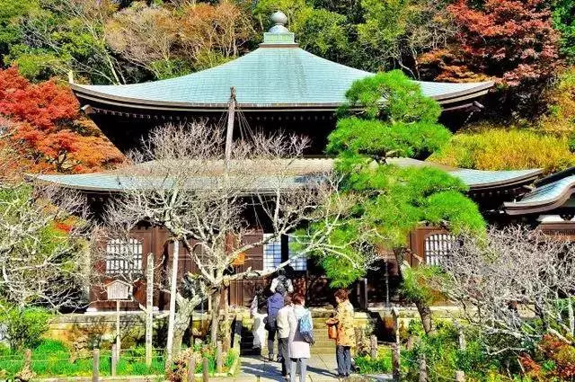 日本最大佛教寺庙,日本寺院景观