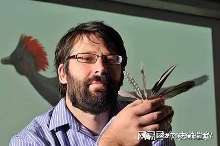 恐龙到底是什么颜色,科学家最初认为恐龙的样子